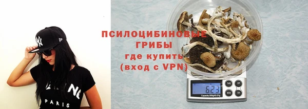 винт Абаза