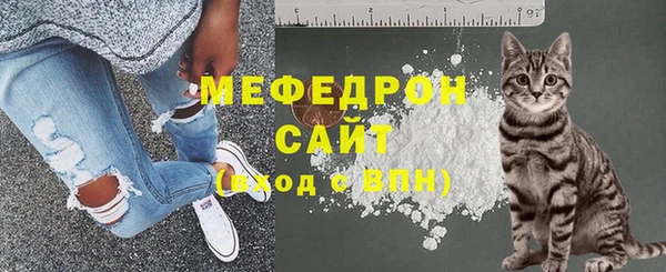 винт Абаза